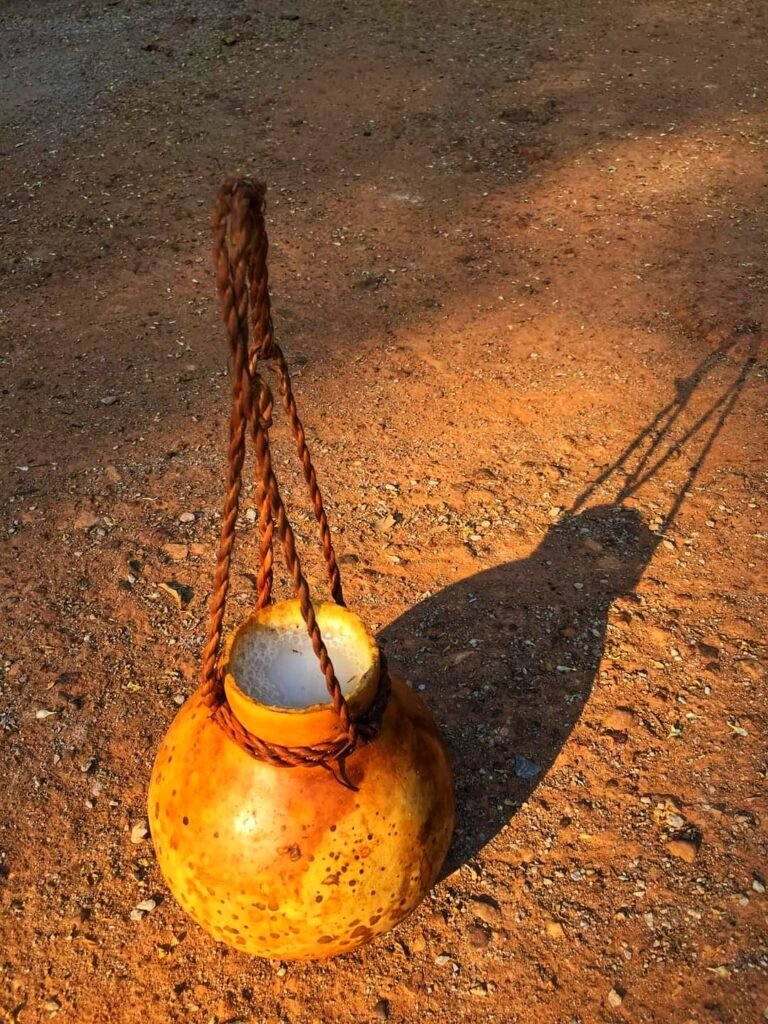 Food of Bastar। Bastar villager