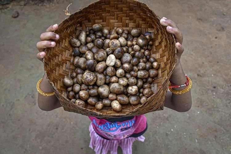 Boda। बोड़ा 