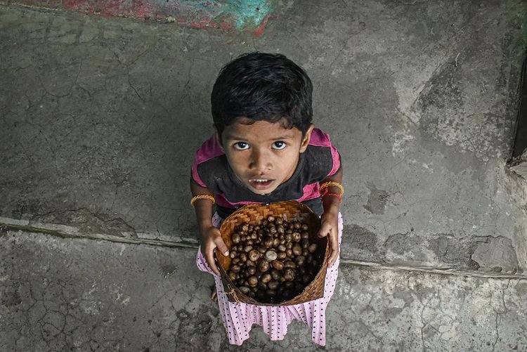बोड़ा। तस्वीर - पंकज सोरी।Boda