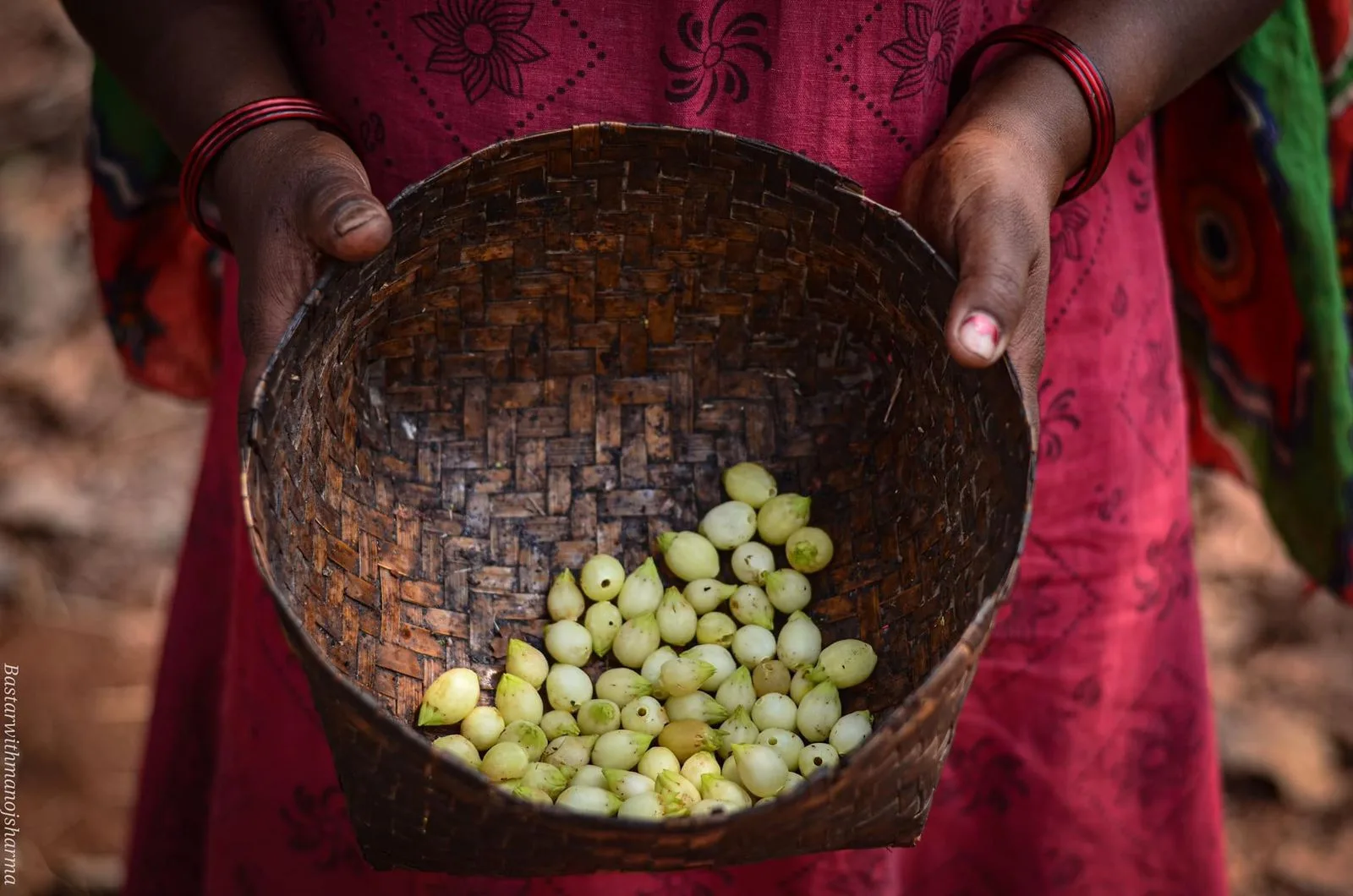 महुए का पेड़(Mahua Tree), आदिवासी परिवारों के लिए कल्पवृक्ष